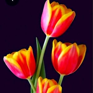 Meet your Posher, Michele